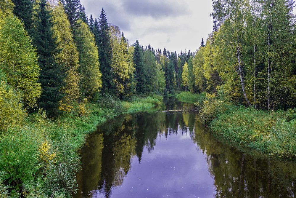 р. Охтома осенью