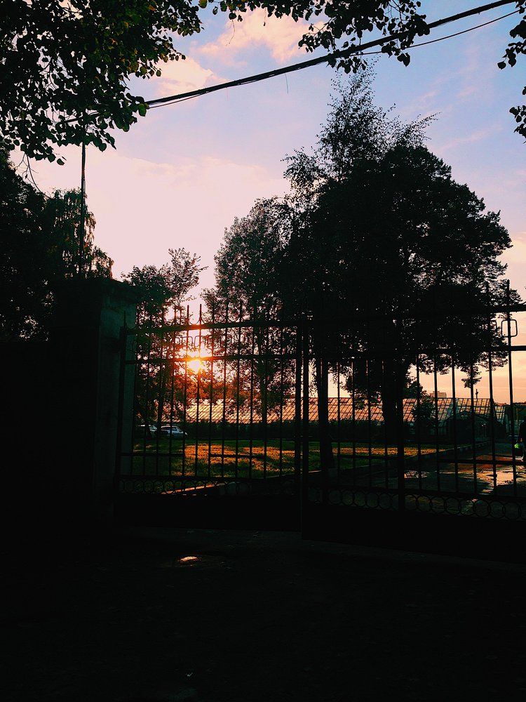 Photograph by Анастасия Козлова