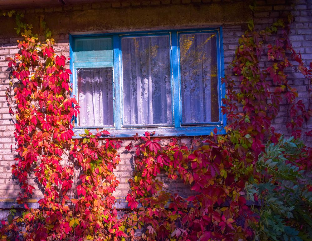 Photograph by karina2699