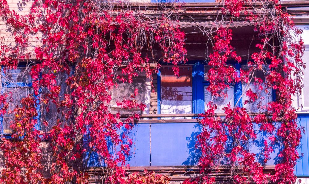 Photograph by karina2699