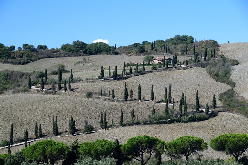 Фотография автора Андрей Симонов