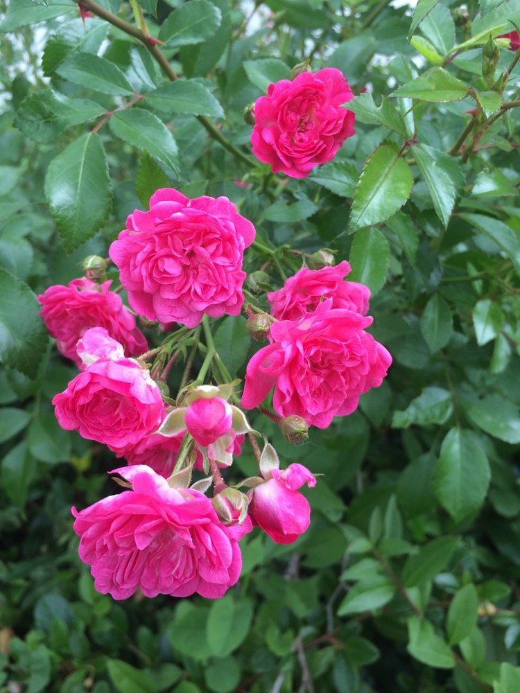 Photograph by Марина