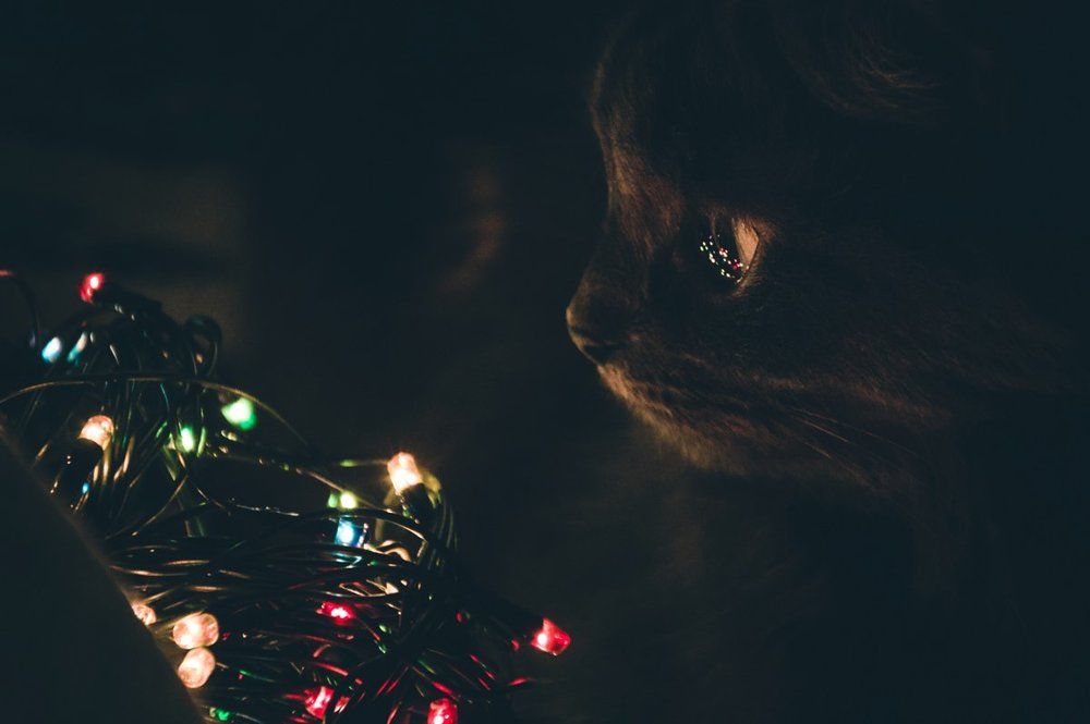 И огоньки в глазах...