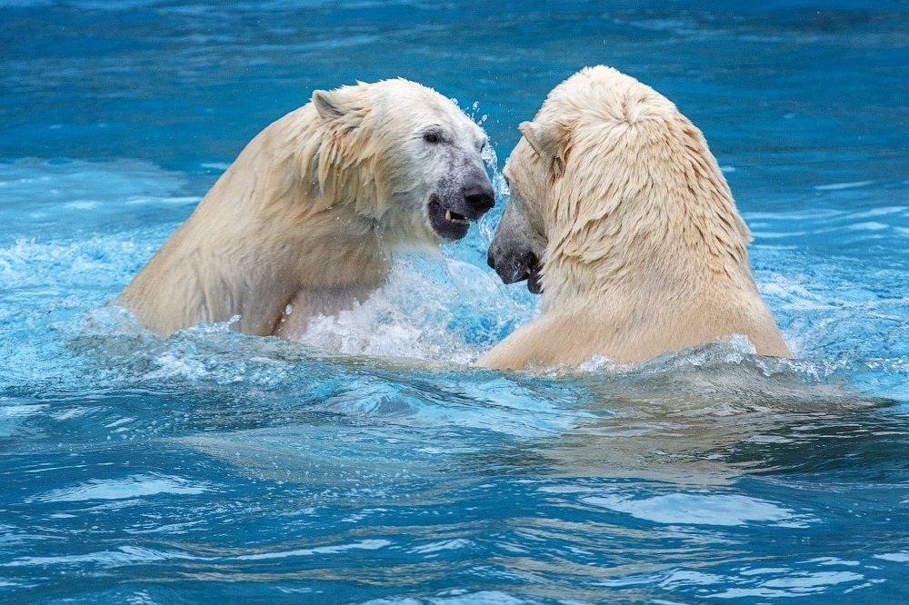 Хорошо вдвоем