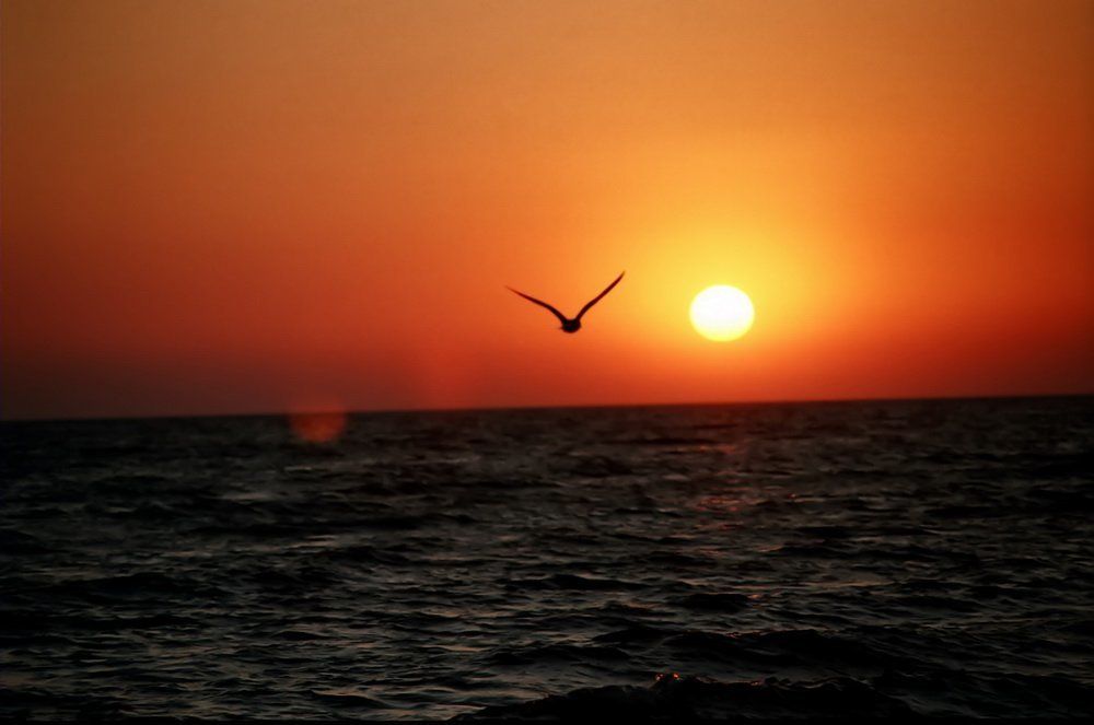 Таинственное прикосновение.