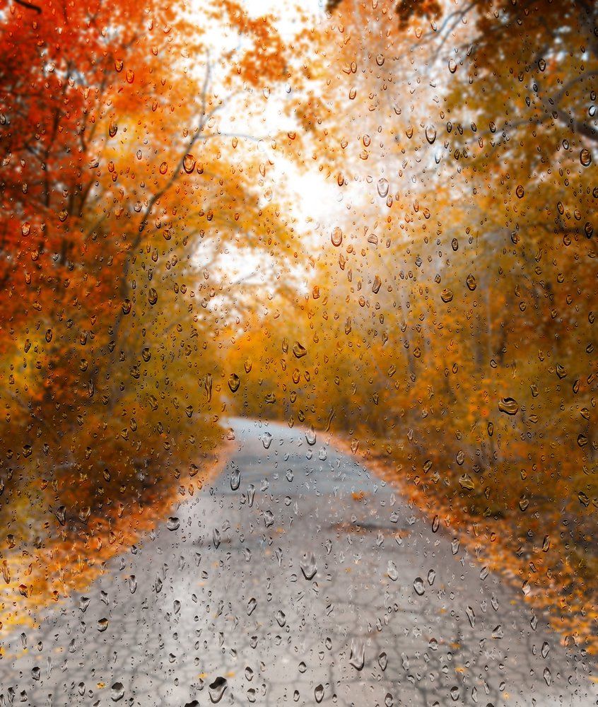 Слезы осени