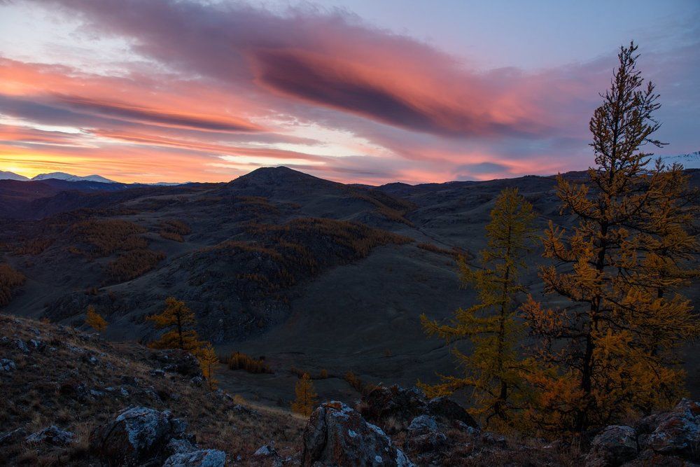 Закат солнца в Курайской степи