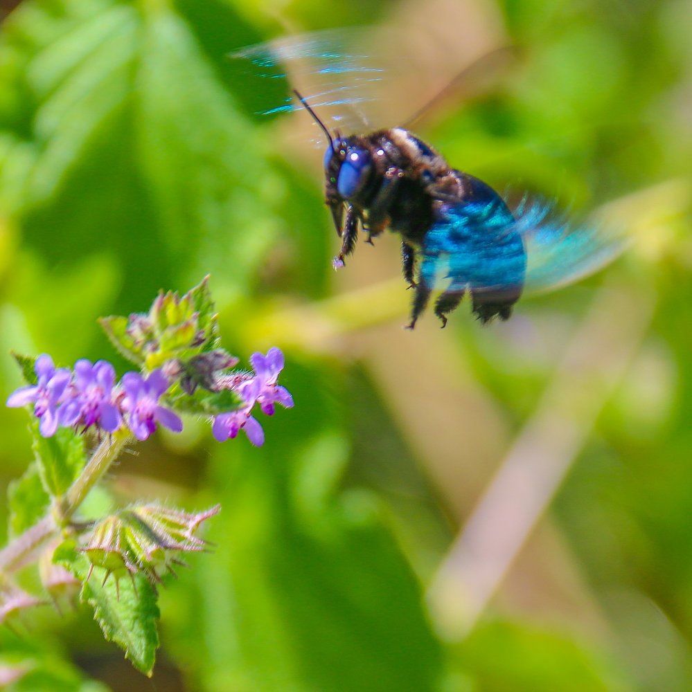 Photograph by Artist abilash