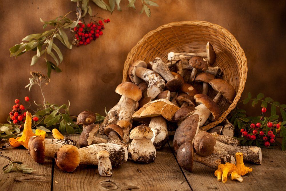 Photograph by Татьяна Макотра