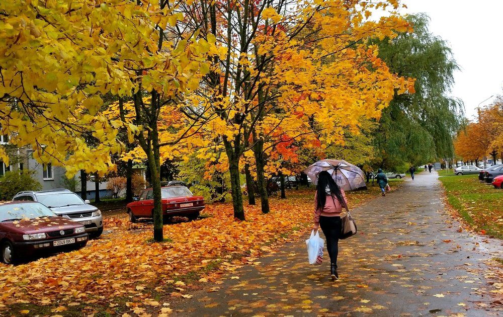Осень в городе.