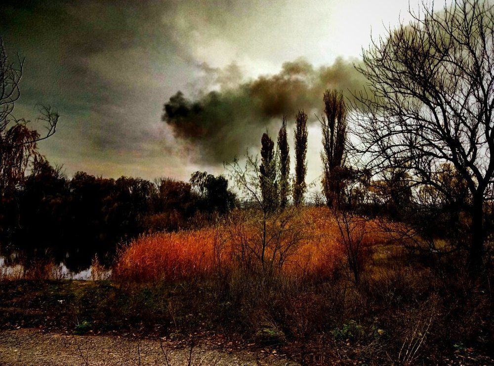 Photograph by Юля Маркович