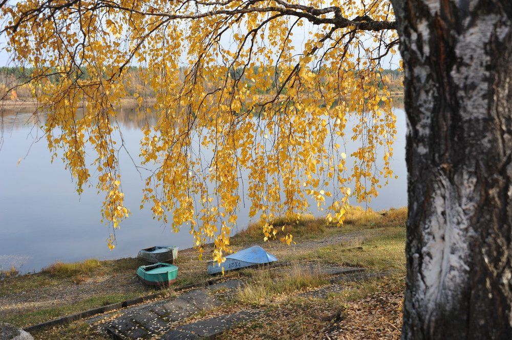 Краски осени.