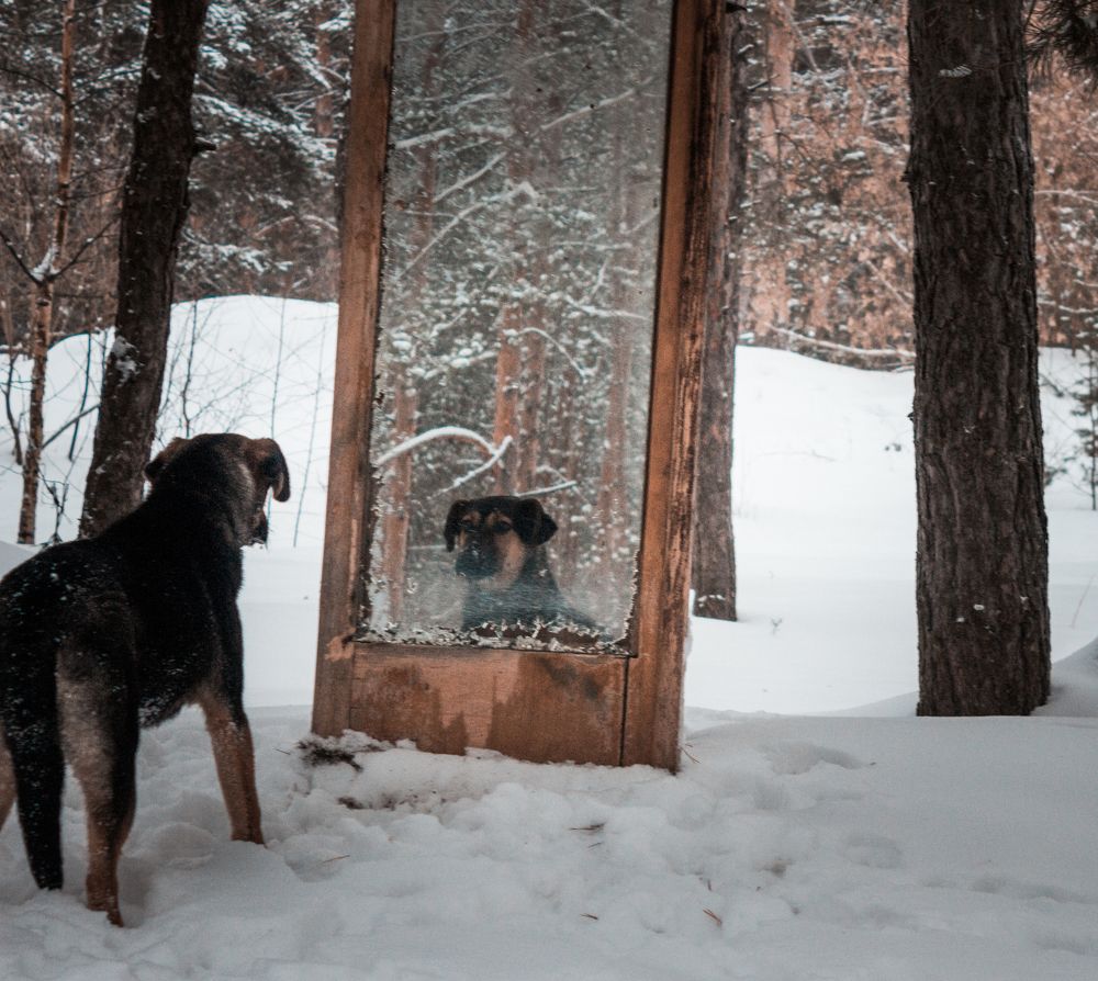 Альма смотрите в зеркало