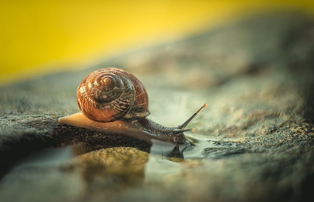 Photograph by Andrey Rut