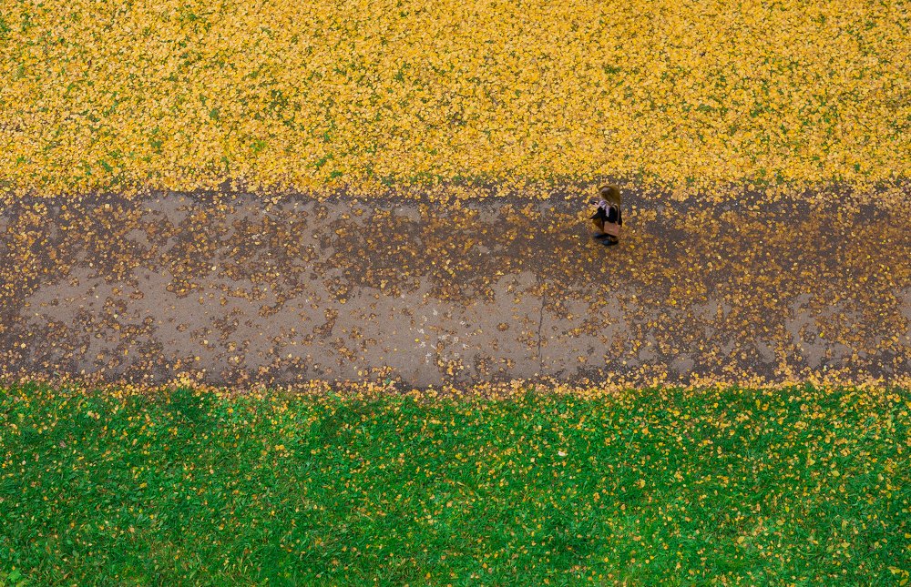 Осенний флаг