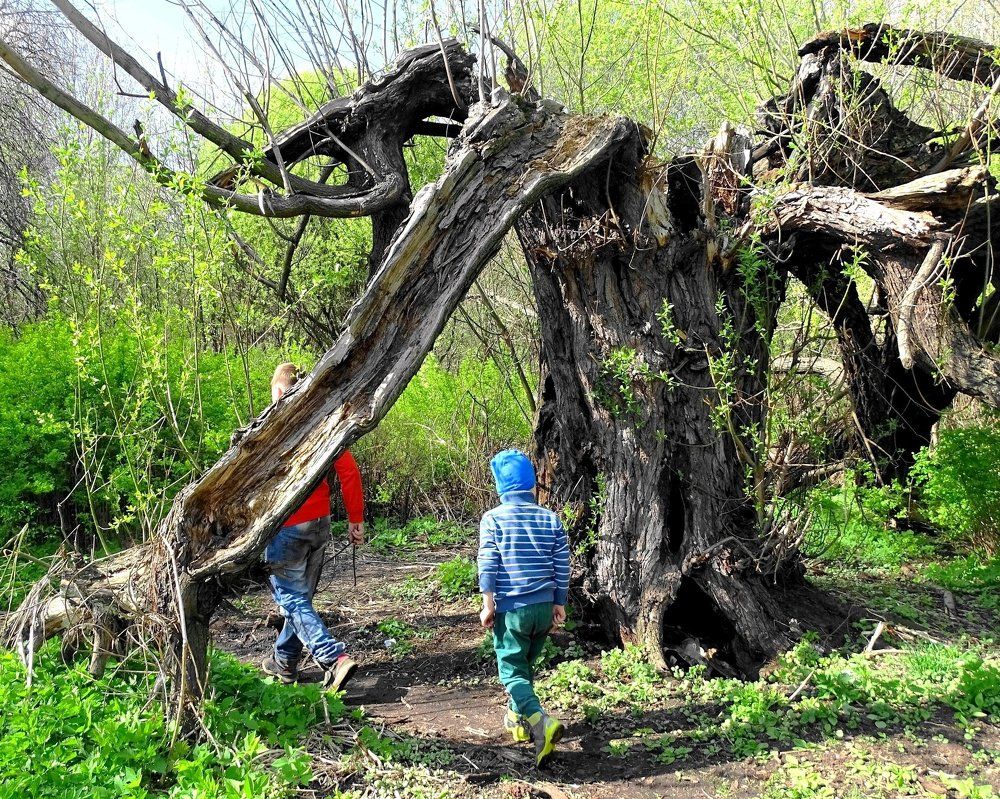 Новая весна