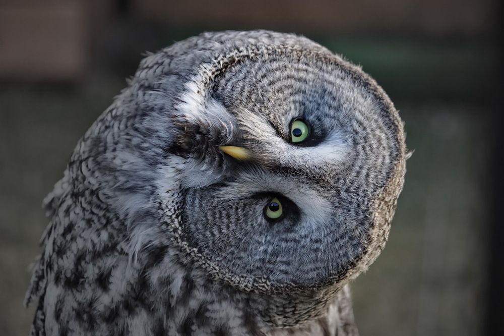 Другим взглядом