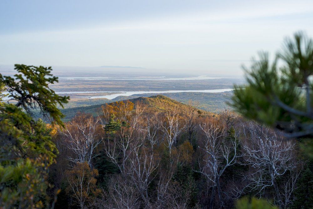 Китайская сторона