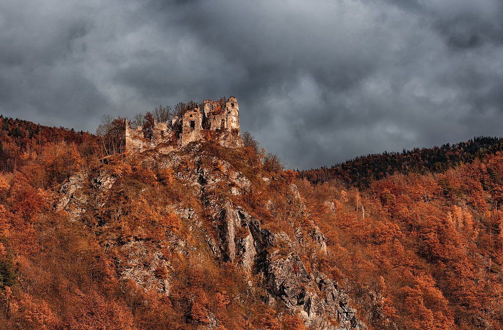 Перед бурей