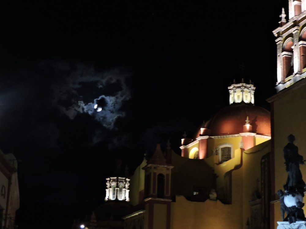 Dragon stalking Guanajuato