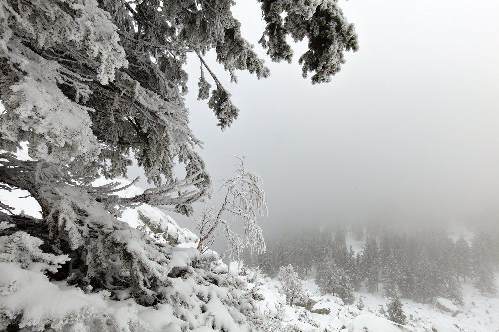 Photograph by Сергей Евдокимов