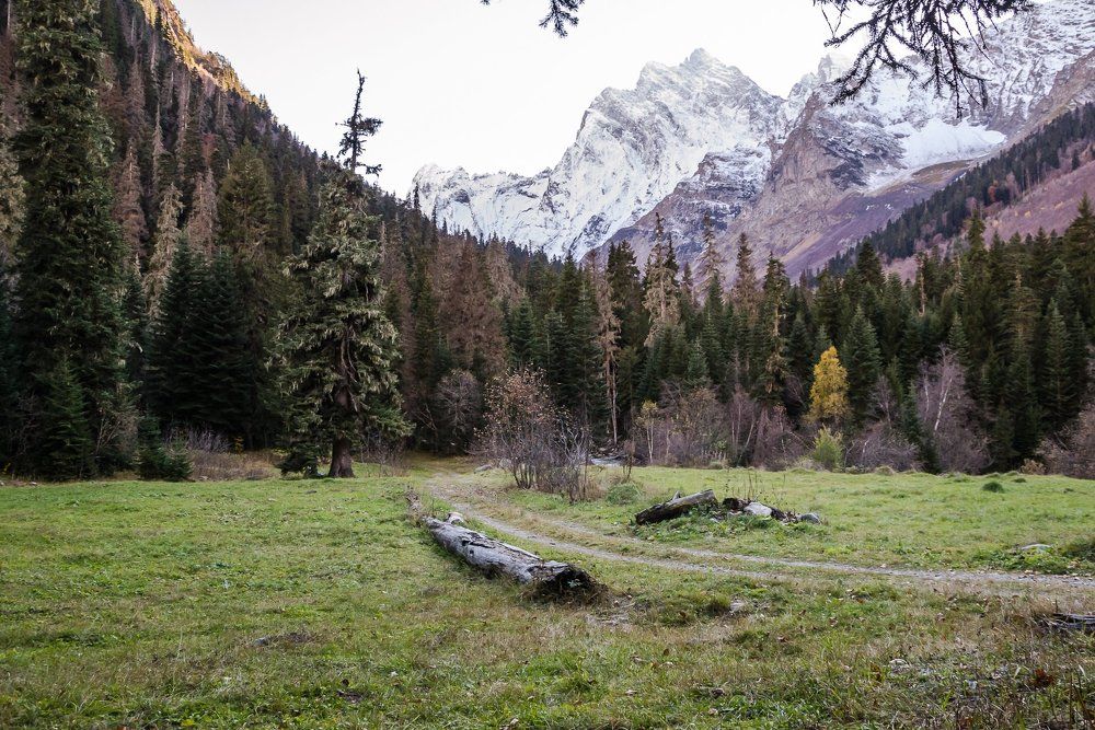 Смеркалось...