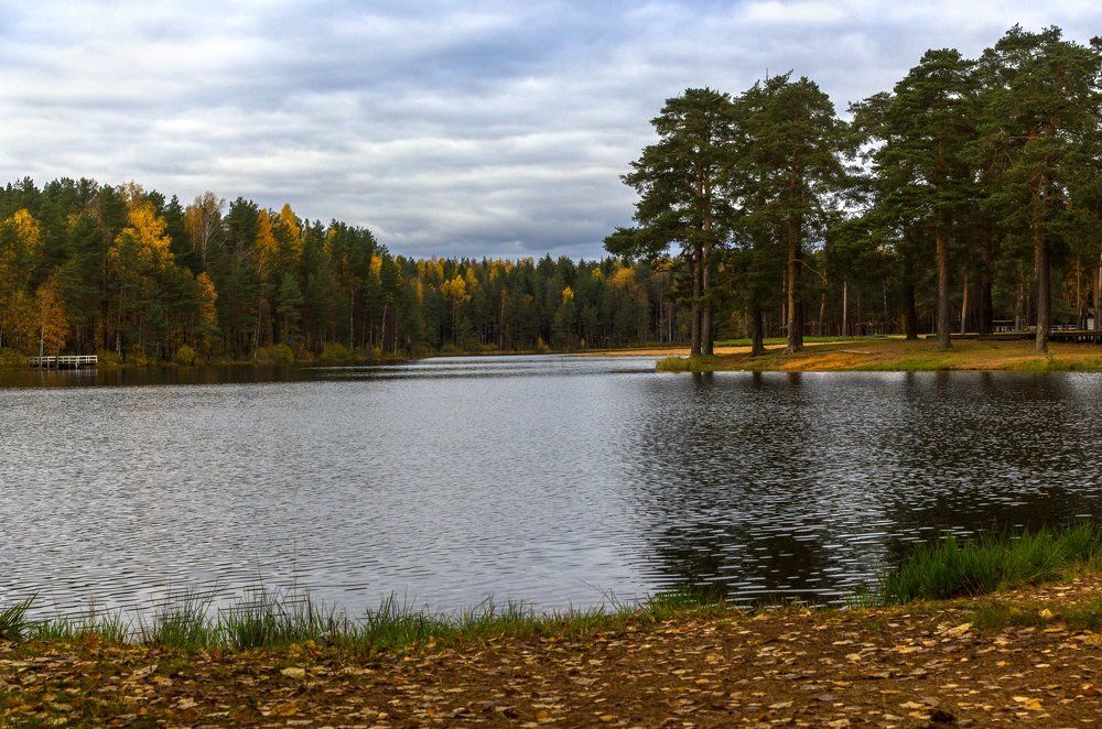 Photograph by Алексей Герасимов