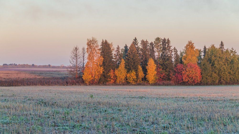 Морозное утро