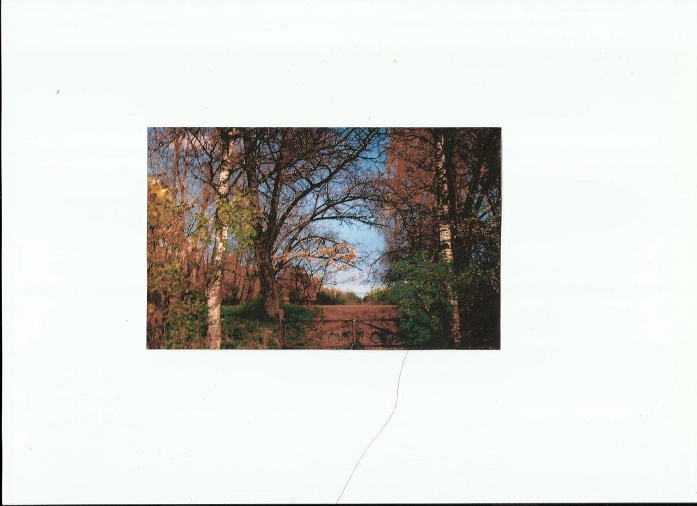 Осень на пороге