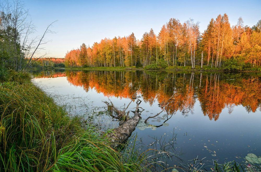 "Осень на лесной реке"