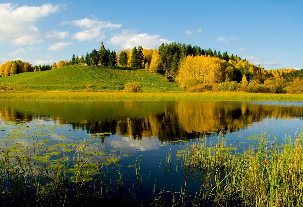 Золотая осень