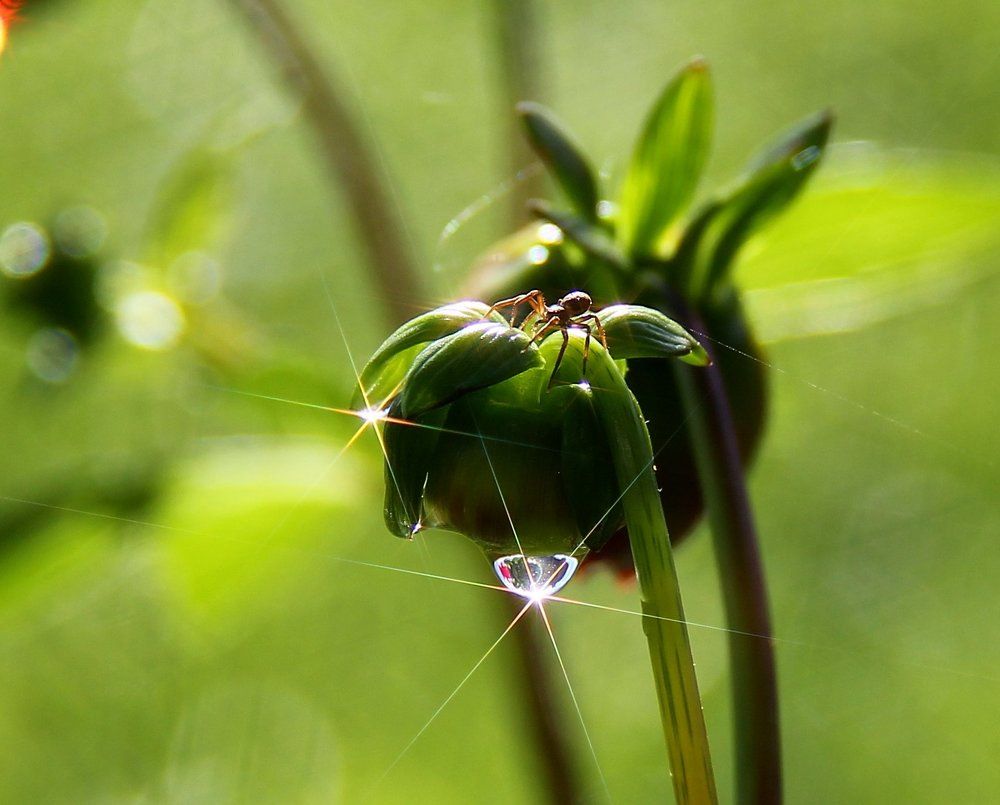 Жизнь прекрасна!