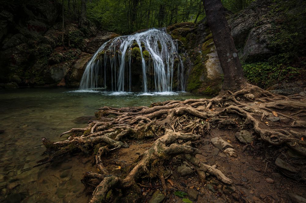 Корни водопада