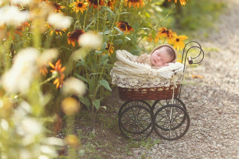 теплый сентябрь