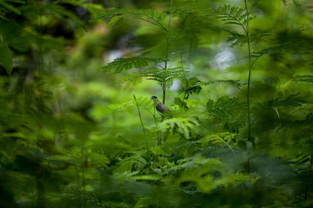 Photograph by Александр Аникин