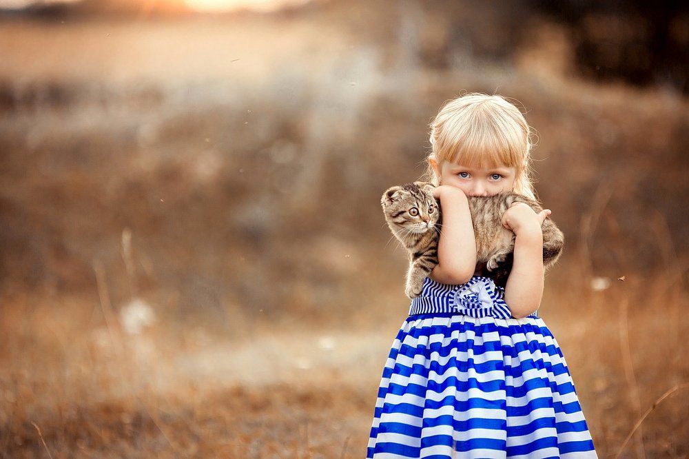 Photograph by Сухарь Александр