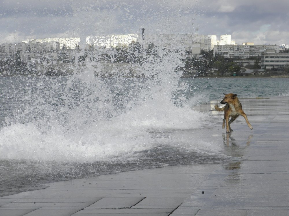 Игры с прибоем на городской набережной