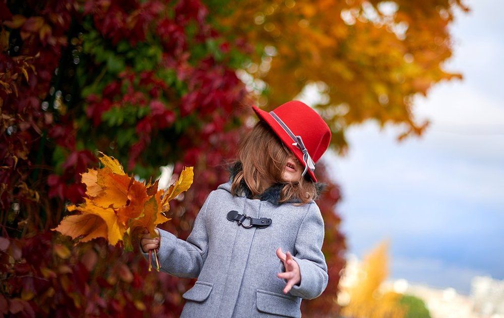 Осенний день