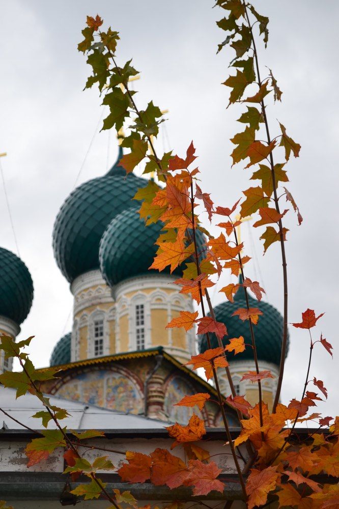 Фотография автора Ольга Пузырева