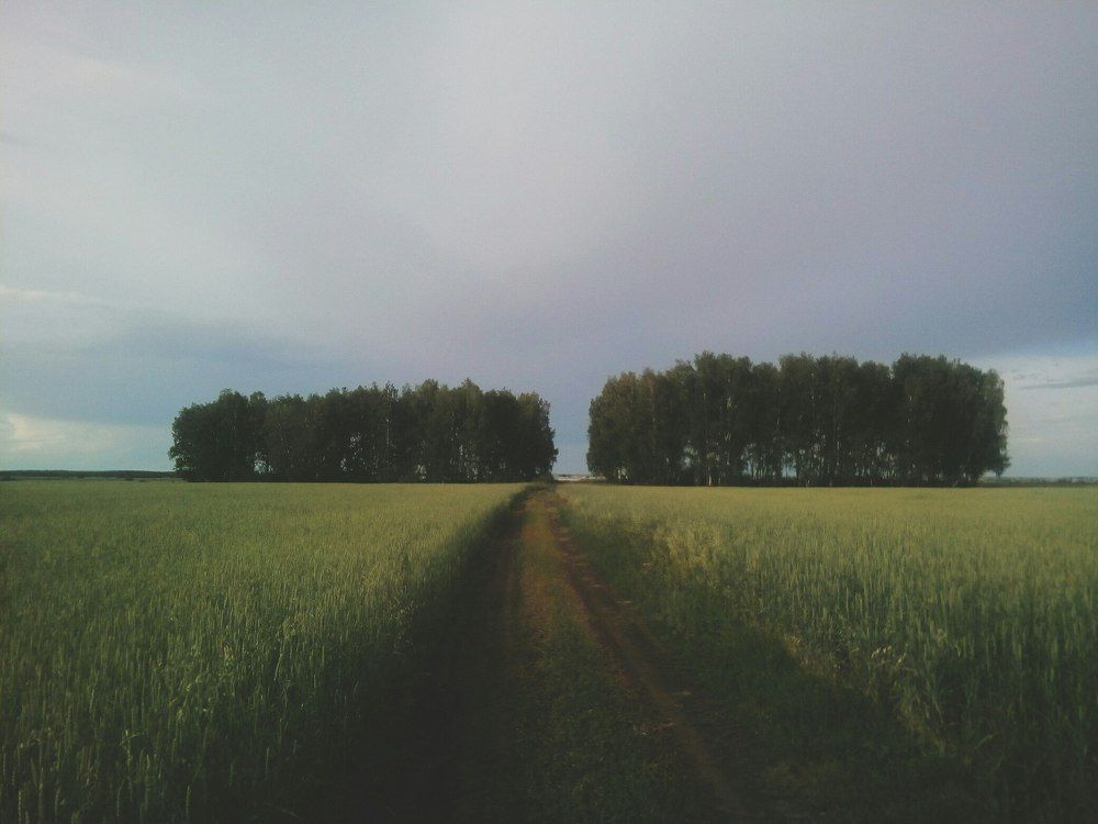 Photograph by Alexei Alfyorov