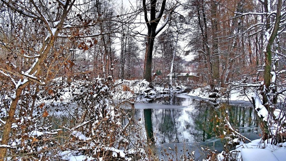 Поздняя осень,первый снег.