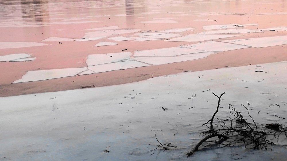 Предчувствие гармонии