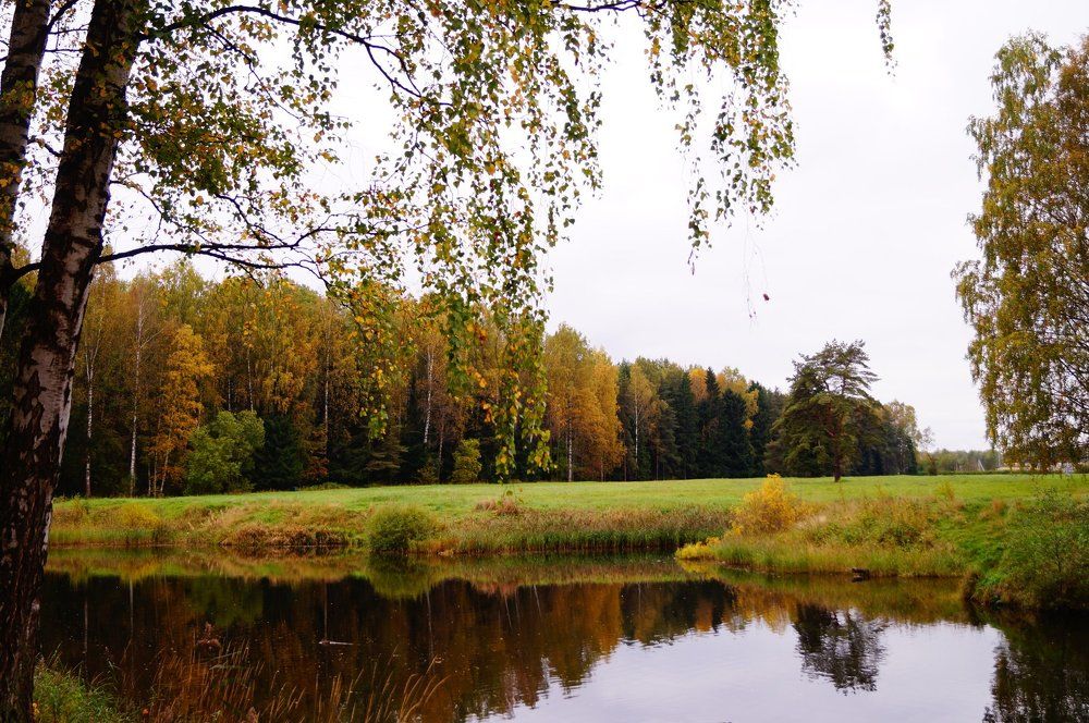 Красота осеннего парка