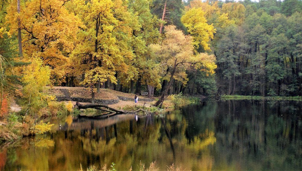 В том парке осень золотая старинным золотом горит