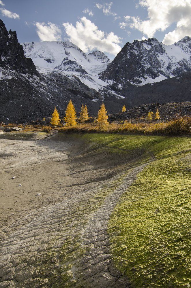 ледниковые игры