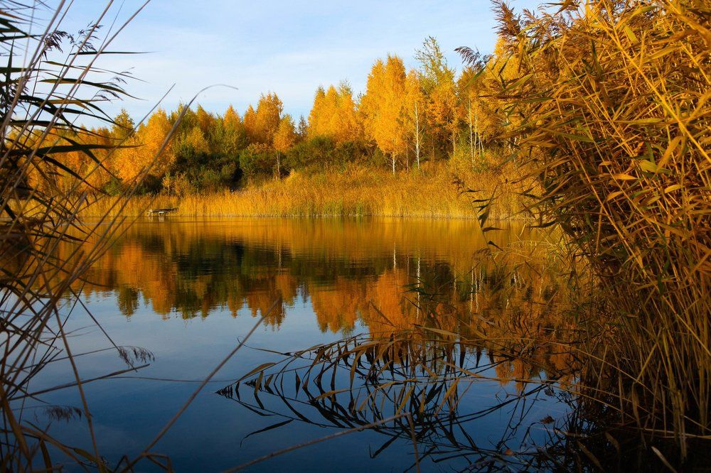 Photograph by Березовская Галина