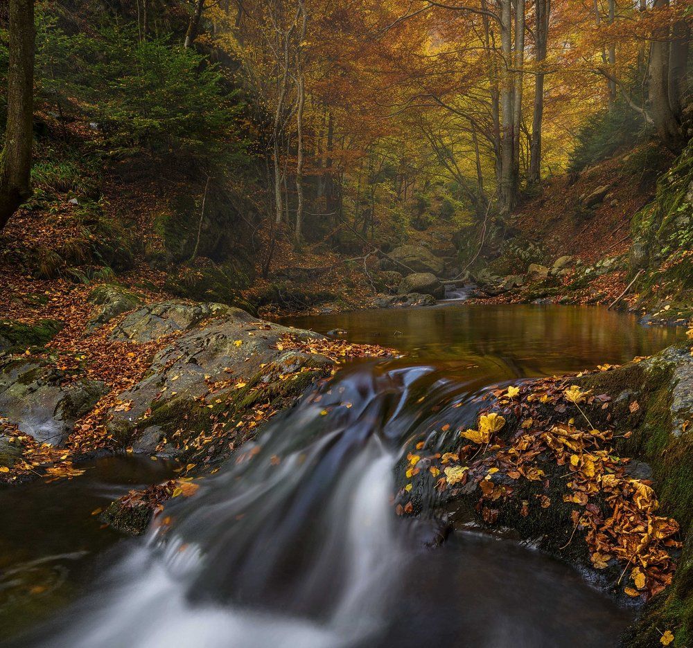 Осень в Болгарии, Стара планина ...
