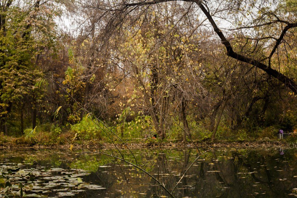 Photograph by Mary Petrova