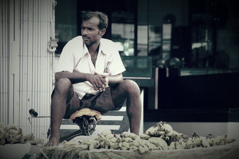 Person and profession