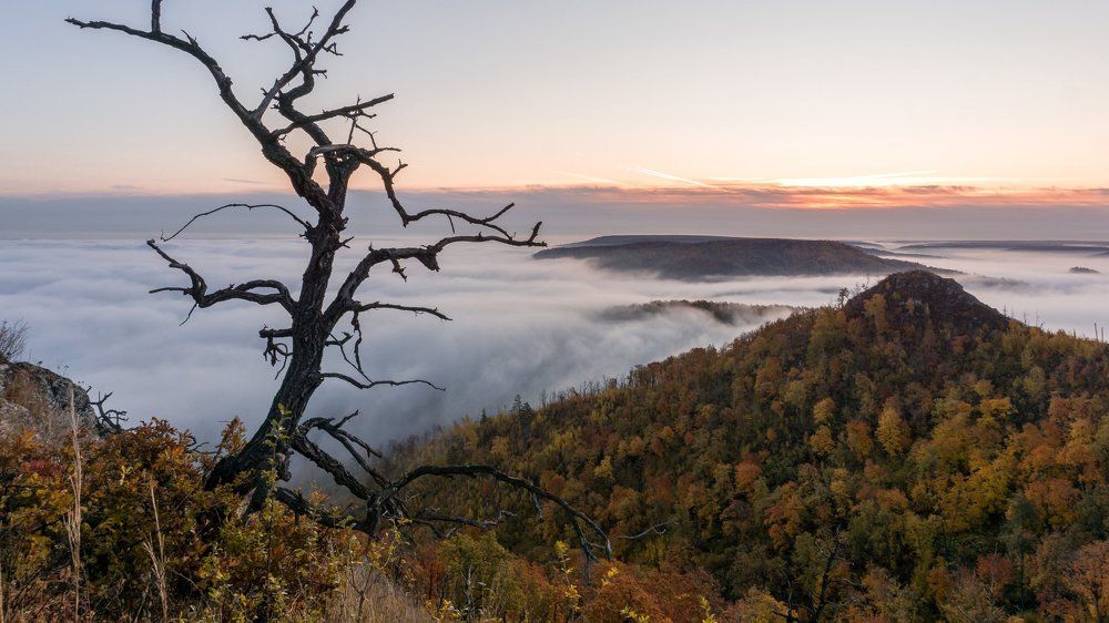 Тайны Жигулевских гор